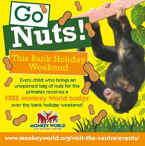 Go Nuts at Monkey World this Bank Holiday!