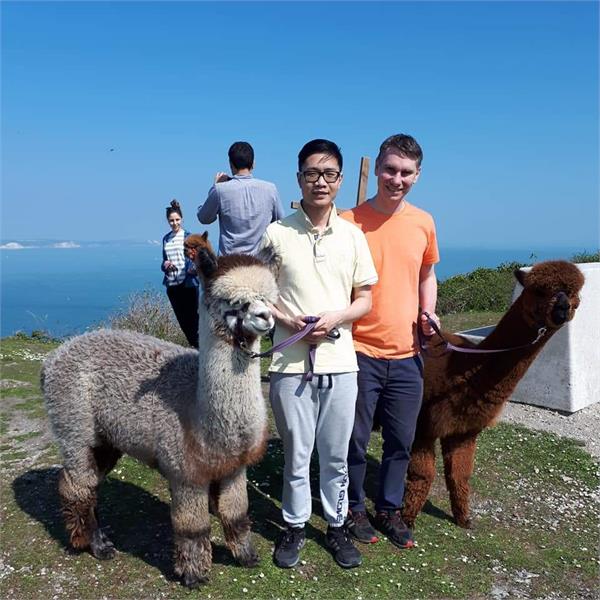 Portland Alpacas - Unique Things to Do Portland