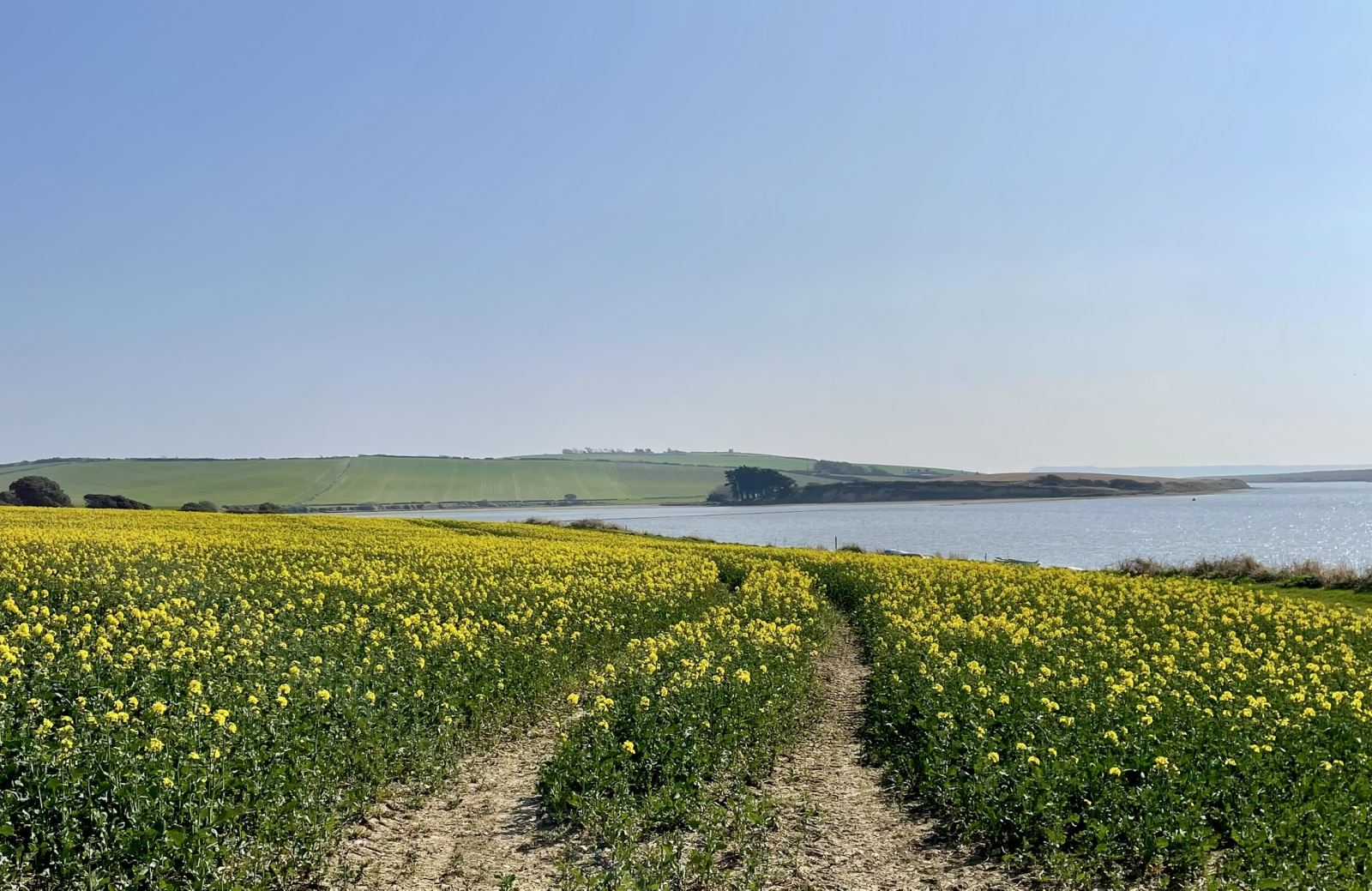 Dorset Walks