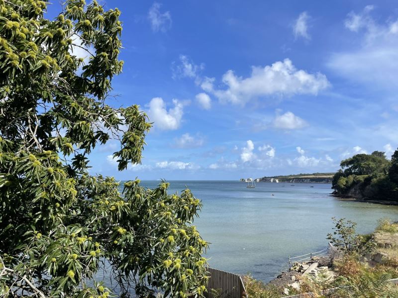 Studland Bay