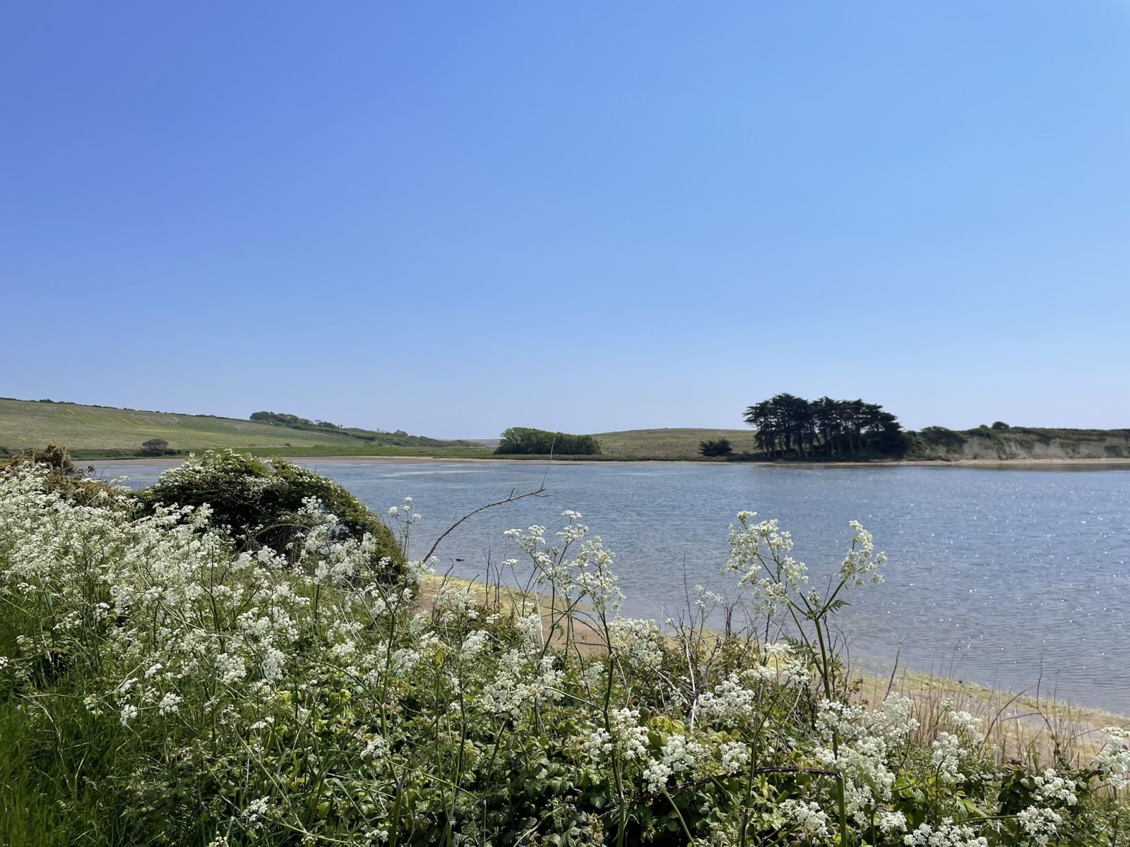 Fleet Weymouth