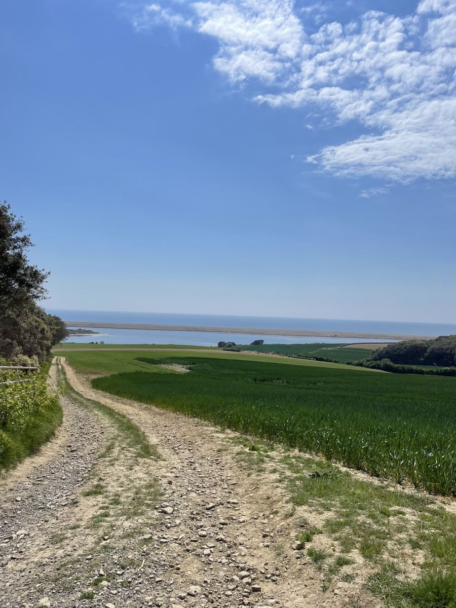 Dorset Walks 