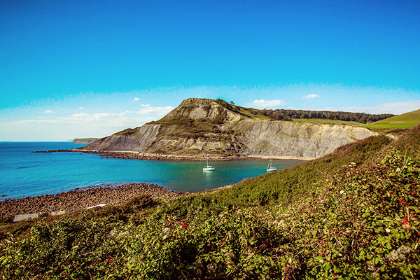 Chapman's Pool