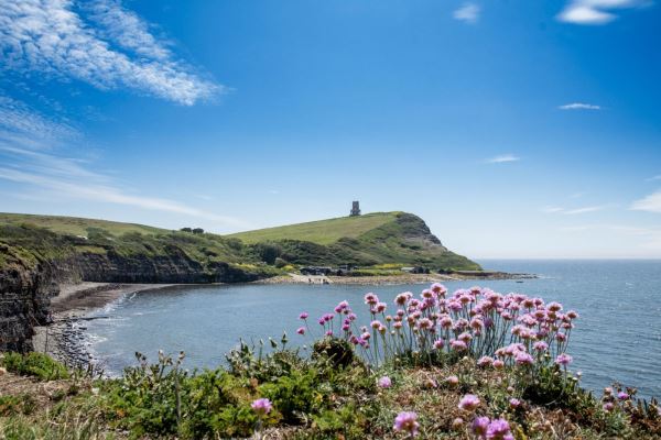 Kimmeridge Bay