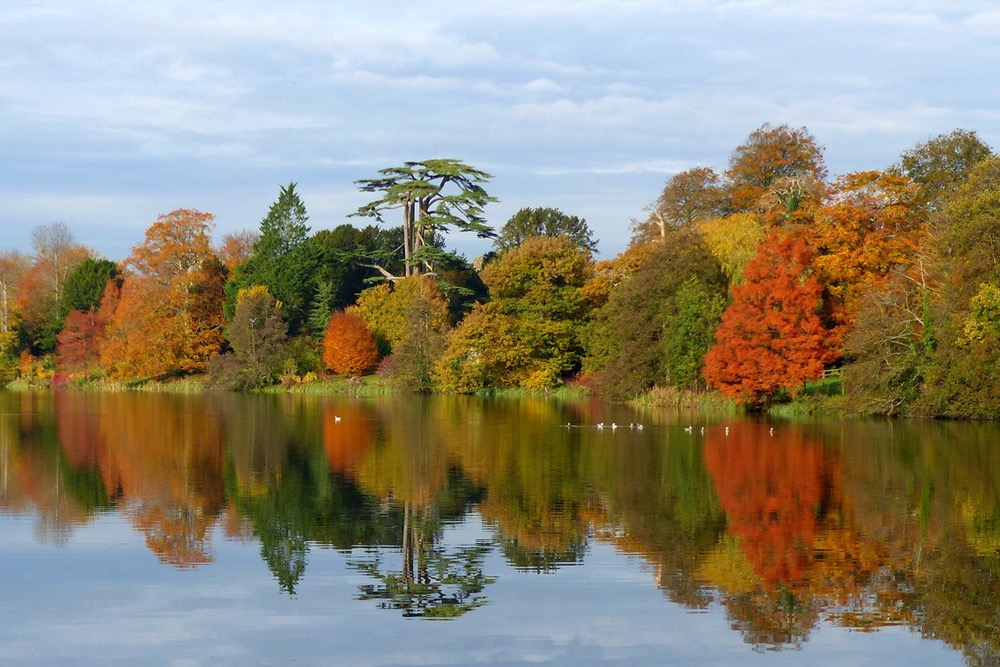 Autumn colours in Dorset