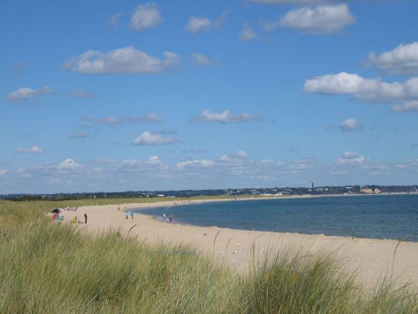 Studland