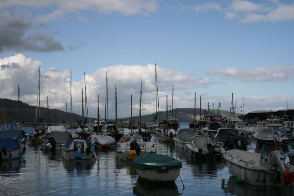 Lyme Regis Harbour