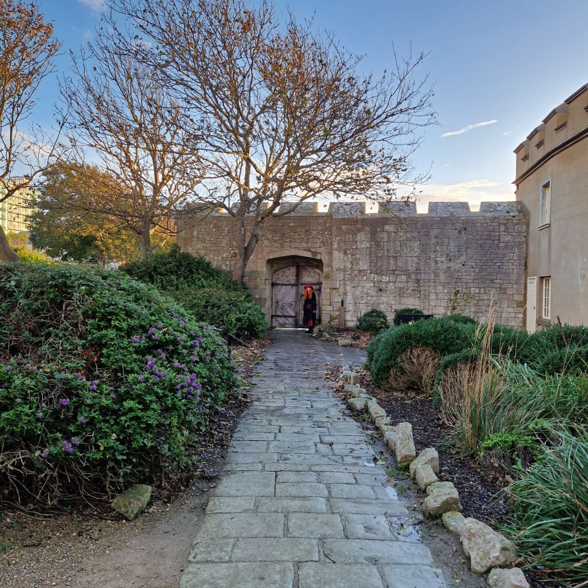 Halloween Trails in Dorset