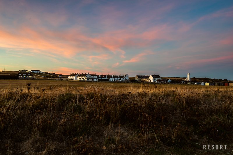 Wildlife at Portland Bill