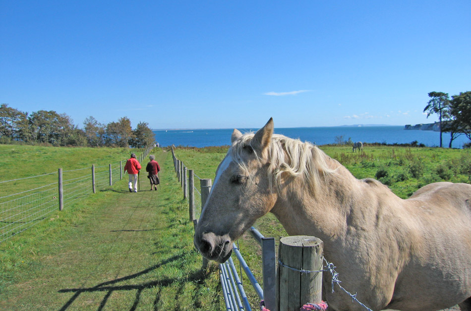 Studland