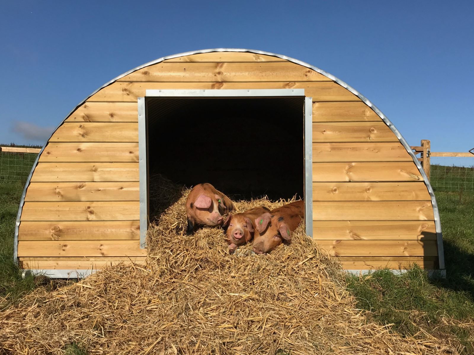 Symondsbury Farm