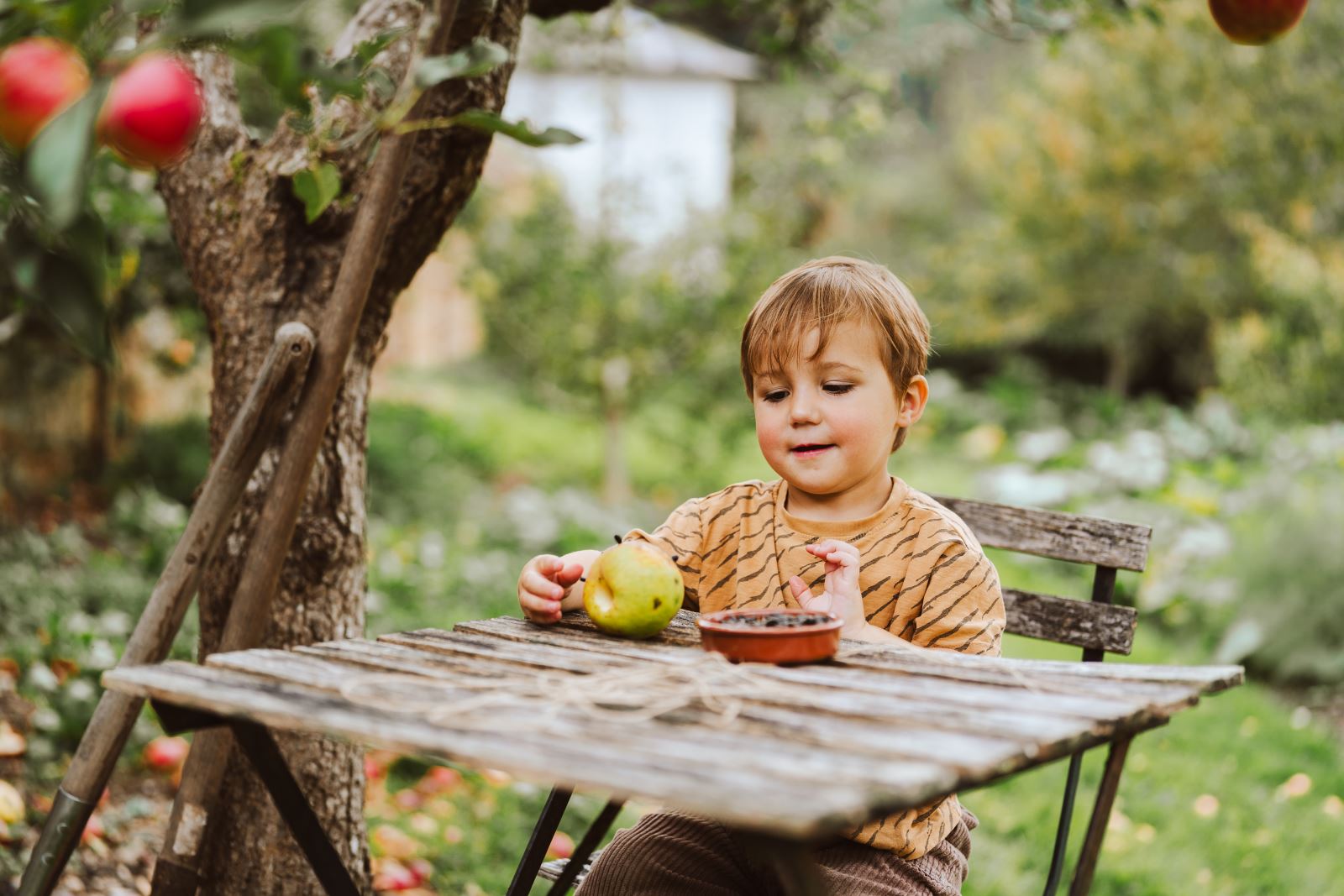 Symondsbury Apple Day