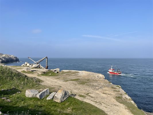 Things to Do in Dorset in March