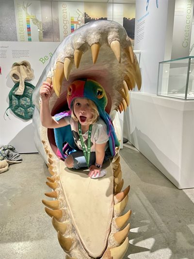 Dorset's Ultimate Summer Holiday!