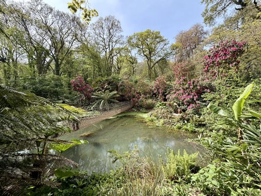 Dorset Gardens in Bloom