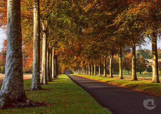 Autumn Colours in Dorset