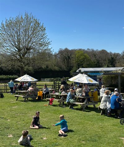 Dorset's Family Fun Farm Park