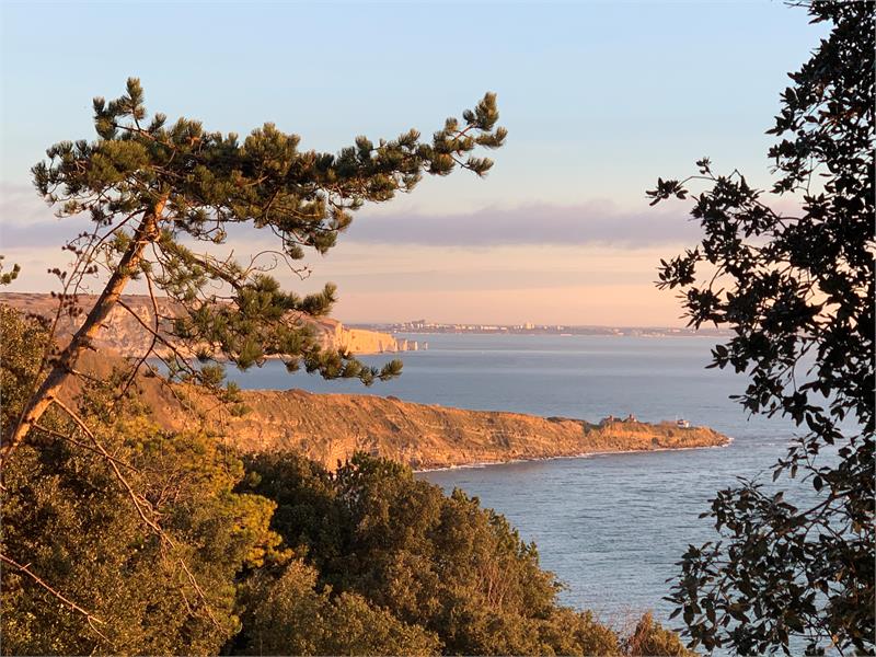 Park to Pier Guided Walk - event in Swanage