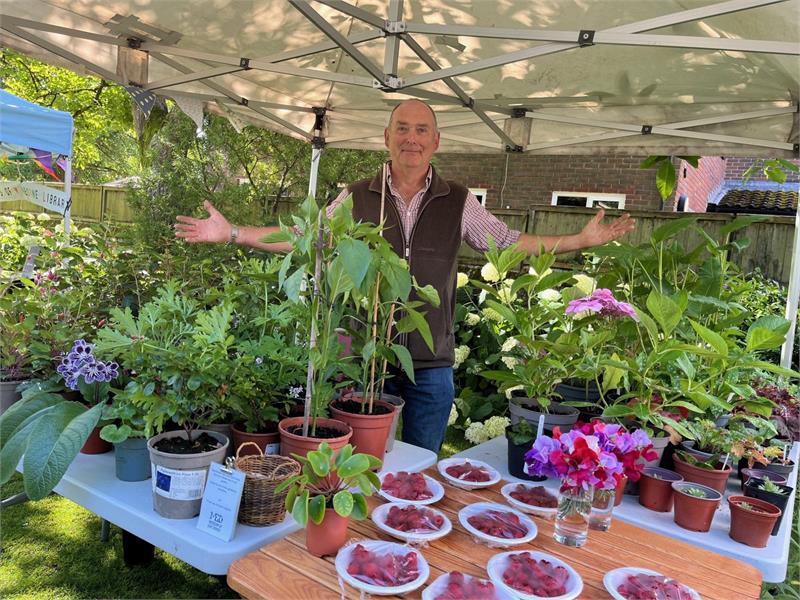 Summer Fete & Bake Off - event in Wimborne