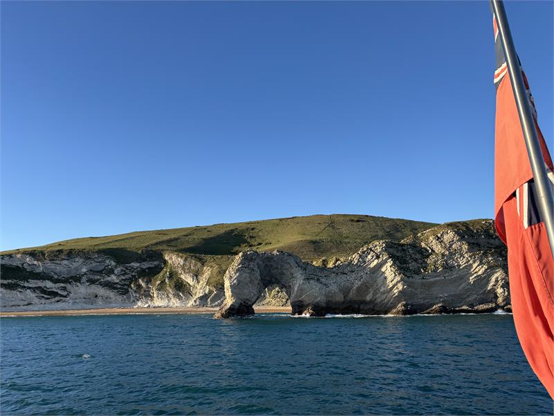 Birds and Wildlife on the Bay - event in Weymouth