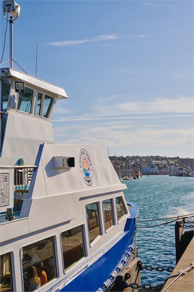 Dorset events and what's on