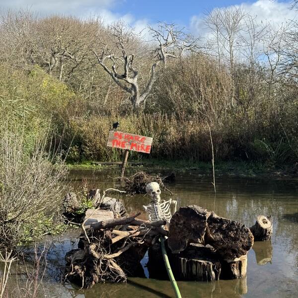 Ghostly Games at Abbotsbury Swannery - event in Abbotsbury