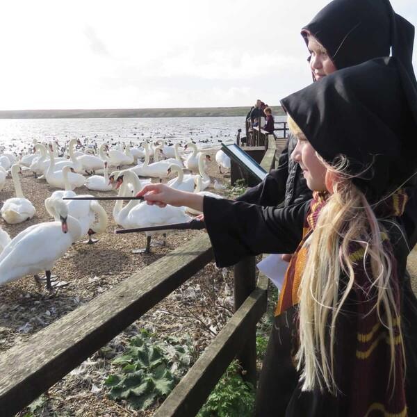 Ghostly Games at Abbotsbury Swannery