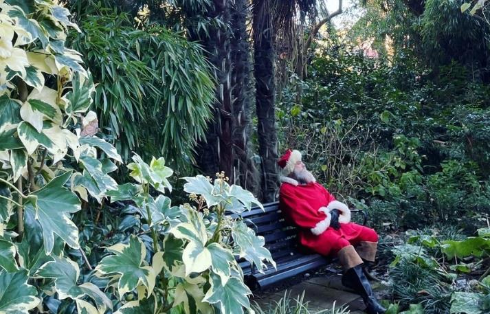 Santa's Grotto at Abbotsbury Gardens - event in Abbotsbury