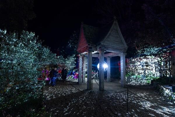 Sing-a-long Christmas Carols at Illuminate - event in Abbotsbury