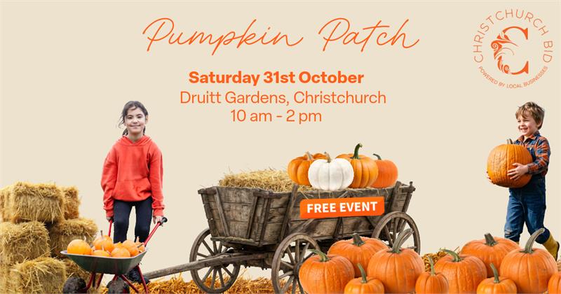 Pop-up Pumpkin Patch Christchurch - event in Christchurch