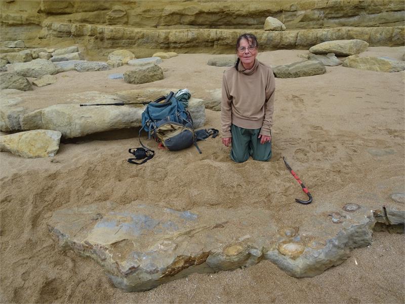 Bridport's Sea Dragon: Unexpected Survivor