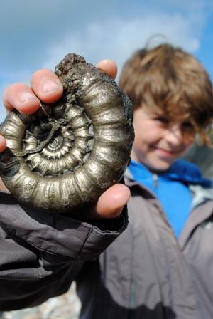 Fossil Hunting Walks at Charmouth Coast Centre