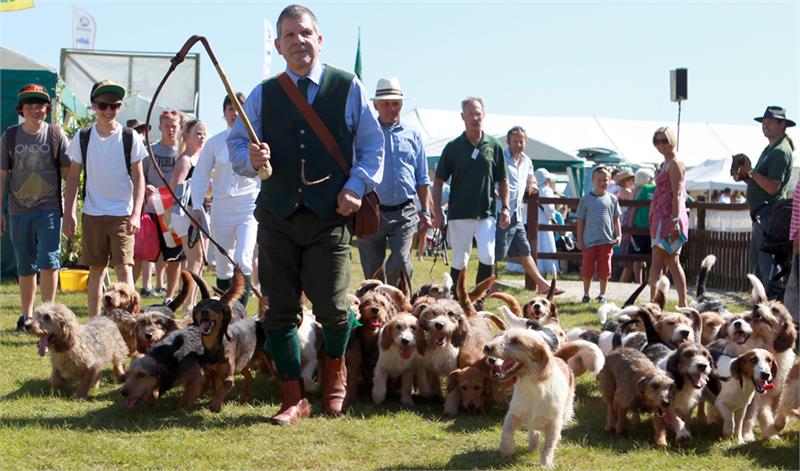 New Forest & Hampshire County Show