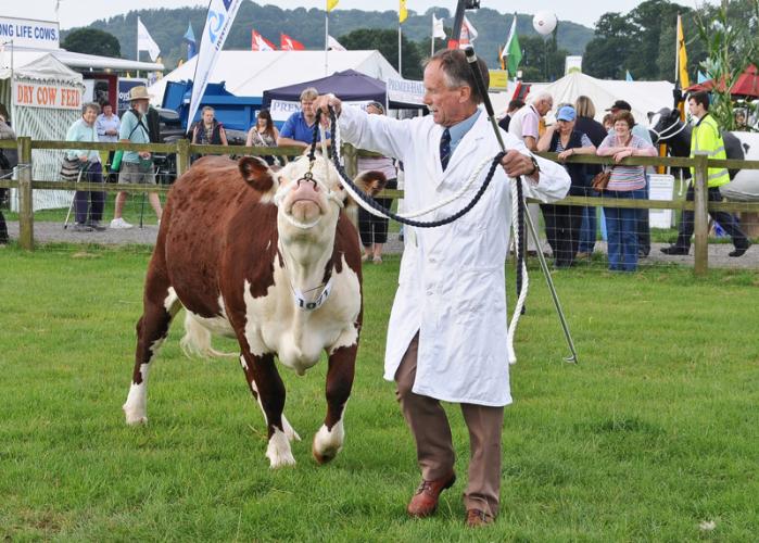 Gillingham & Shaftesbury Show