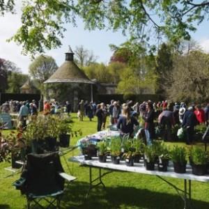 Spring Plant Fair