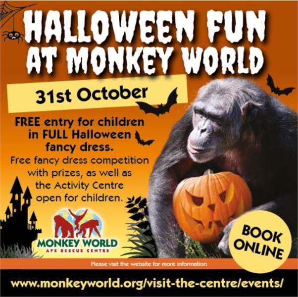 Halloween Fun at Monkey World!