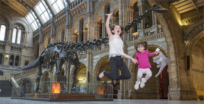 Dippy on Tour