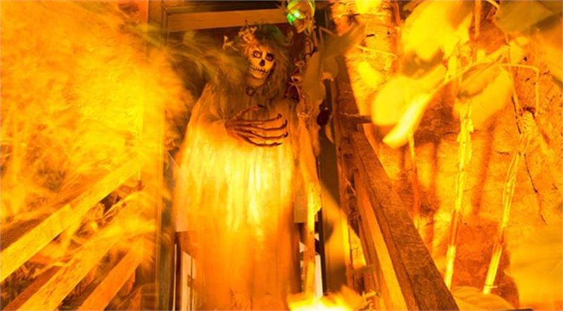 Abbotsbury Gardens Halloween Fright Nights