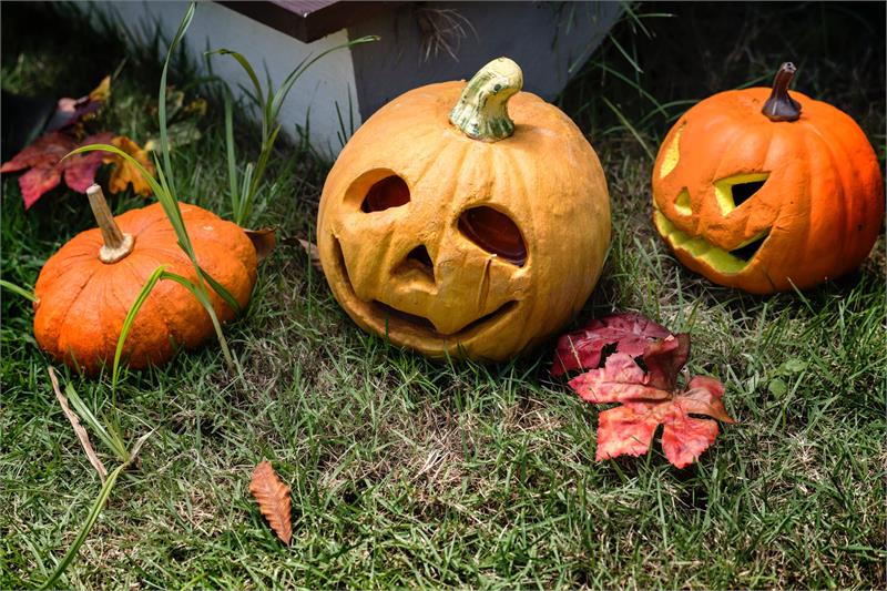 Kingfisher Barn Halloween Trail