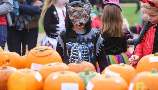 Pumpkin Parade