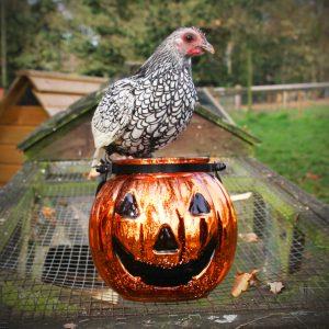 Half Price Half Term