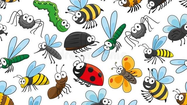 Creepy Crawly Count