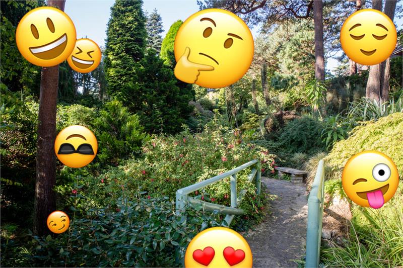 Half-term Emoji Challenge