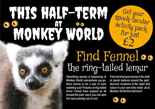 Find Fennel at Monkey World!