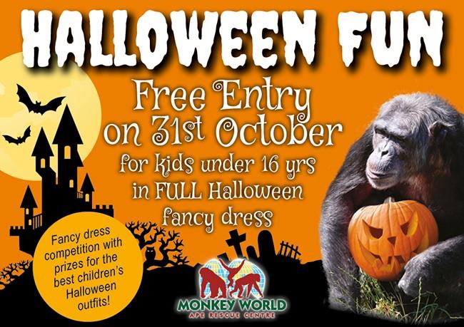 Halloween Half-term at Monkey World
