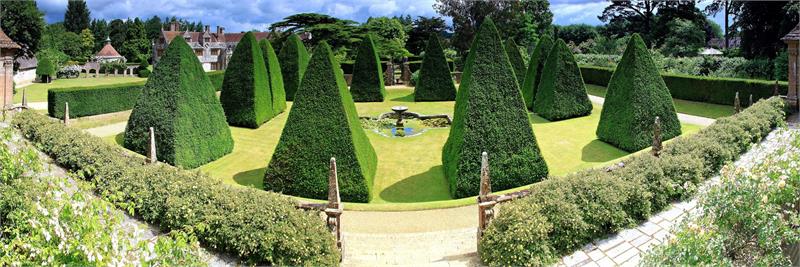 Autumn Plant Fair
