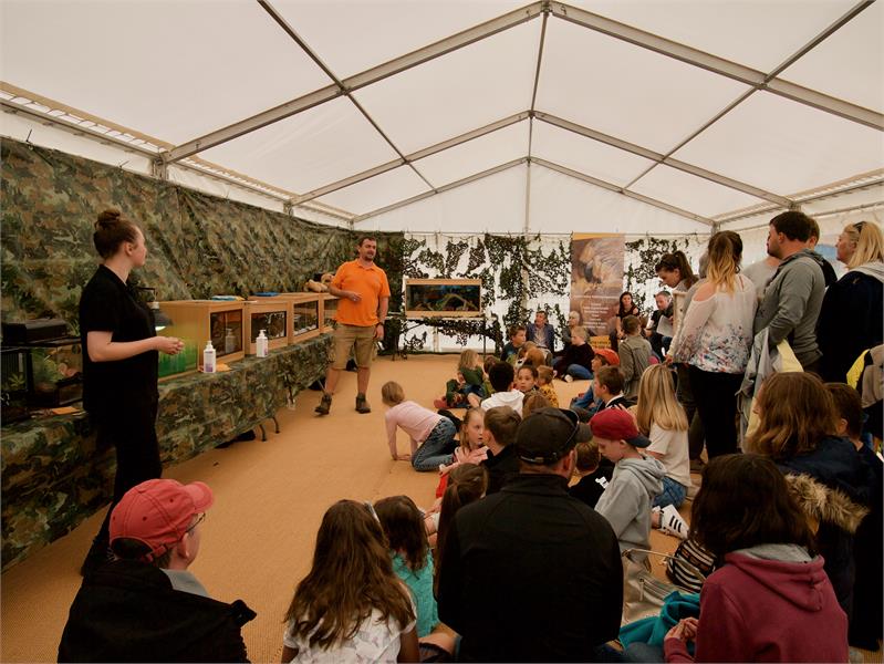 Creepy Crawly Shows at Mapperton