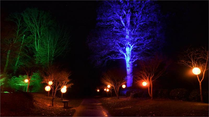 Illuminated Garden at Kingston Lacy