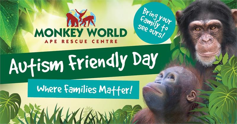 Autism Friendly Day at Monkey World