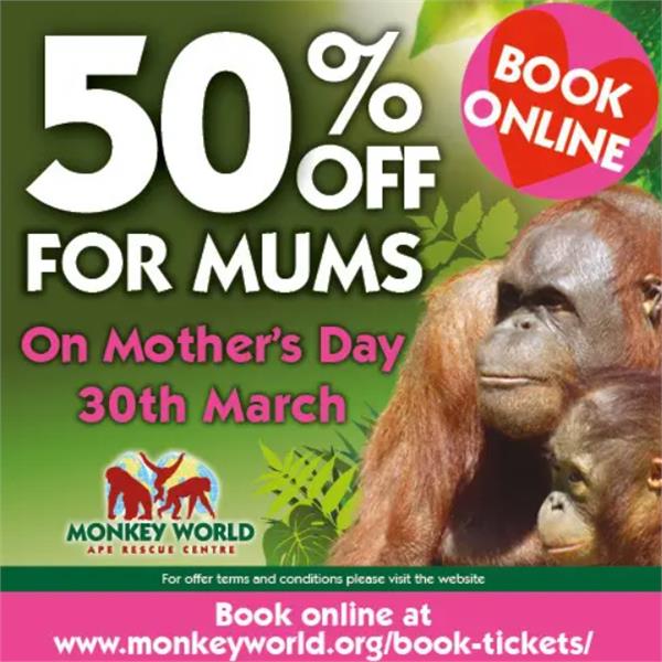 50% off for Mums on Mother's Day at Monkey World!